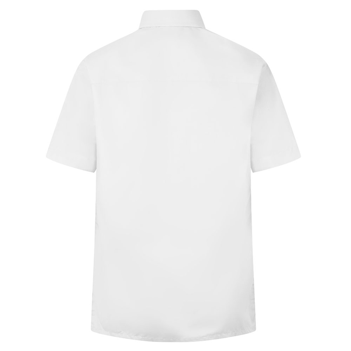 Shirt - White - Twin Pack - Short Sleeve - Zeco, Plain Schoolwear, Shirts & Blouses
