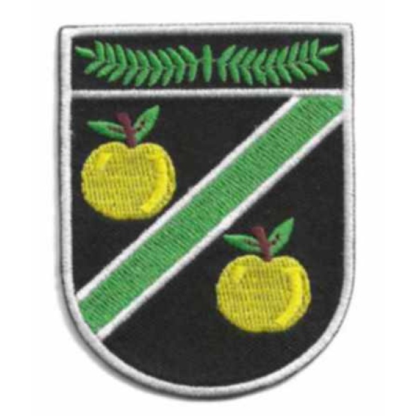 Appleton School - Blazer Badge - Heat application, Appleton School
