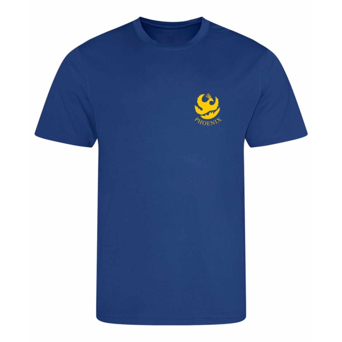 PE T (Sports style fabric), Phoenix School