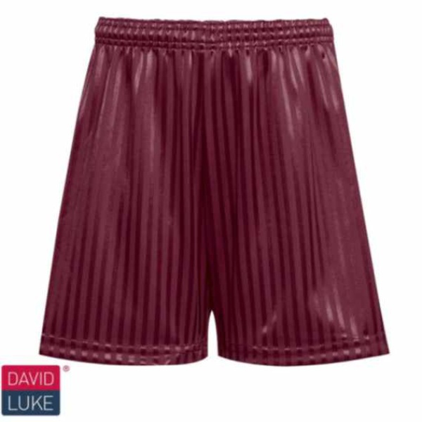 PE Shadow Stripe Short - David Luke, Leigh Beck Infants School