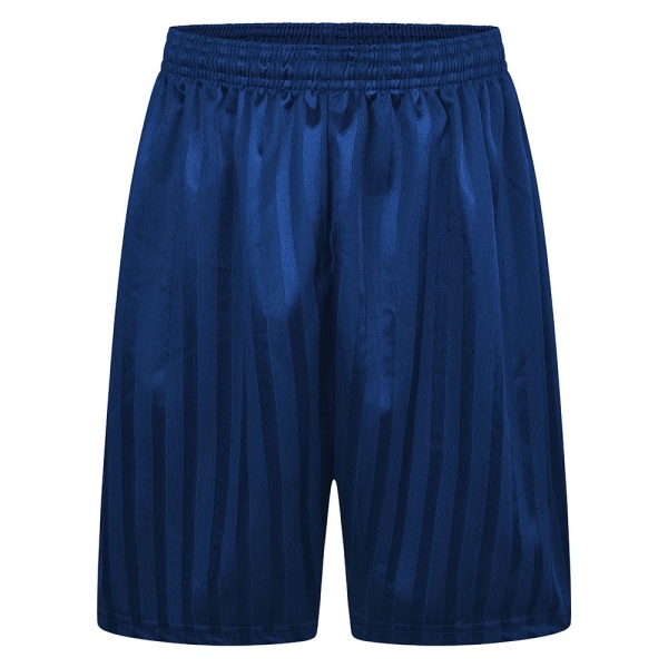 Shadow Stripe Shorts - Royal - Zeco, Woodham Ley School, PE Wear