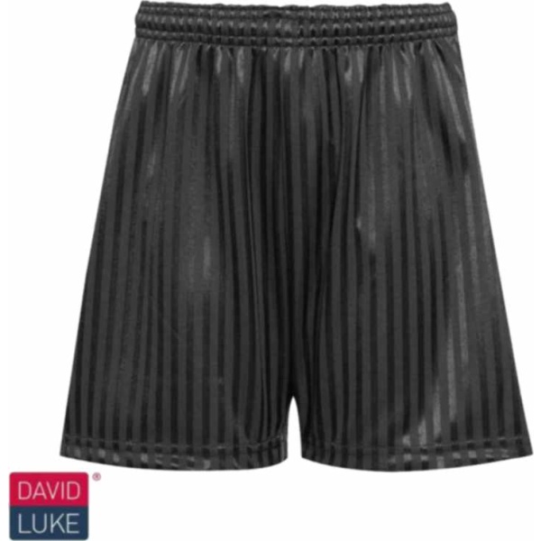 PE Shadow Stripe Short - Black - David Luke, Jotmans Hall School, Kents Hill Junior Academy, Kingston School, Lubbins School, Phoenix School, South Benfleet School, Thundersley School, William Read School, Winter Gardens Academy, PE Wear, Cedar Hall School, Cornelius Vermuyden, Glenwood School
