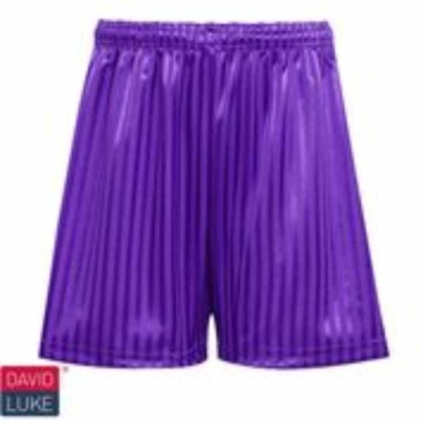 PE Shadow Stripe Short - Purple - David Luke, Kents Hill Infant Academy, PE Wear