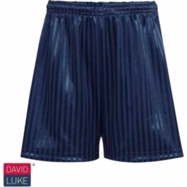 PE Shadow Stripe Short - Navy - David Luke, Montgomerie School, PE Wear, Canvey Island Infants, Holy Family School