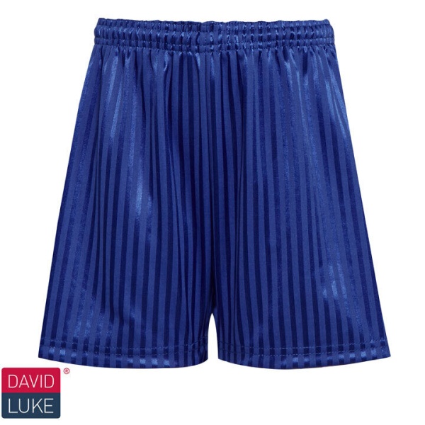 Shadow Stripe Short - Dark Royal - David Luke, Plain Schoolwear, Woodham Ley School, PE Wear