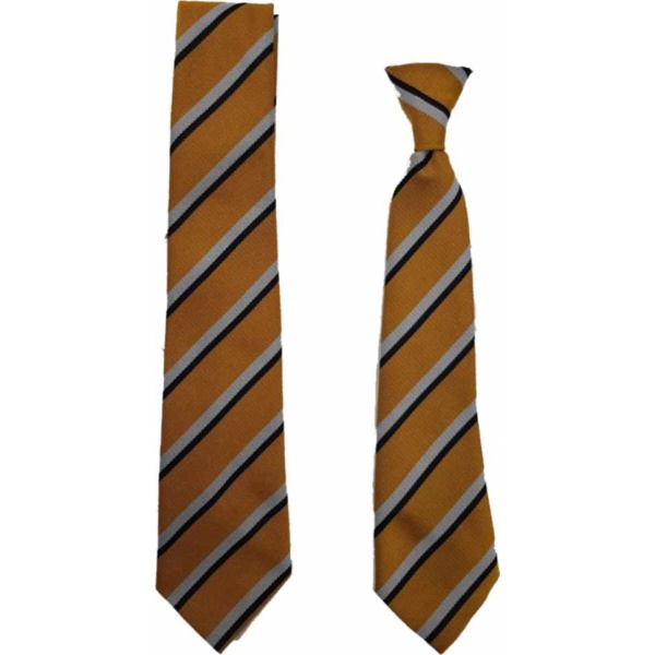 Thundersley Primary - Ties, Thundersley School